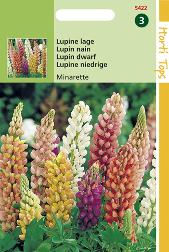 Lupine Minarette Mix (Lupinus) 125 zaden
